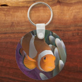 Western Clown Anemone Fish Schlüsselanhänger (Vorderseite)