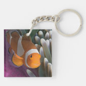 Western Clown Anemone Fish Schlüsselanhänger (Rückseite)