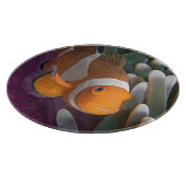 Western Clown Anemone Fish Schneidebrett (Ecke)
