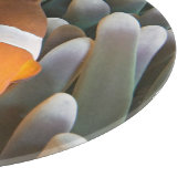 Western Clown Anemone Fish Schneidebrett (Ecke)