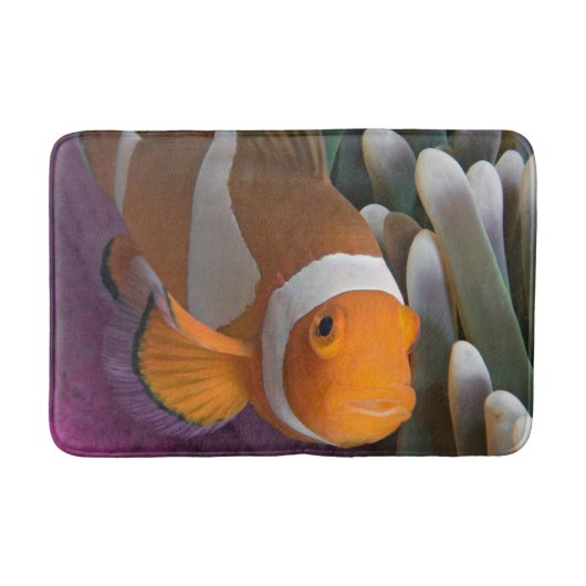 Western Clown-Anemonenfisch Badematte (Vorderseite)