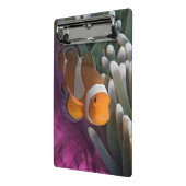 Western Clown-Anemonenfisch Mini Klemmbrett (Gewinkelt2)