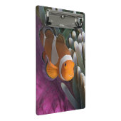 Western Clown-Anemonenfisch Mini Klemmbrett (Schrägansicht)