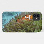 Western Clownfisch (Amphiprion ocellaris) Case-Mate iPhone Hülle (Rückseite (Horizontal))