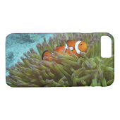 Western Clownfisch (Amphiprion ocellaris) Case-Mate iPhone Hülle (Rückseite (Horizontal))