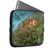 Western Clownfisch (Amphiprion ocellaris) Laptopschutzhülle (Vorne Rechts)