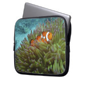 Western Clownfisch (Amphiprion ocellaris) Laptopschutzhülle (Vorderseite Links)