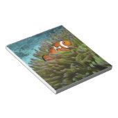 Western Clownfisch (Amphiprion ocellaris) Notizblock (angewinkelt)