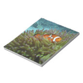 Western Clownfisch (Amphiprion ocellaris) Notizblock (Rotiert)