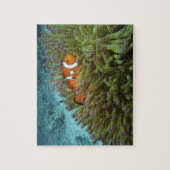 Western Clownfisch (Amphiprion ocellaris) Puzzle (Vertikal)