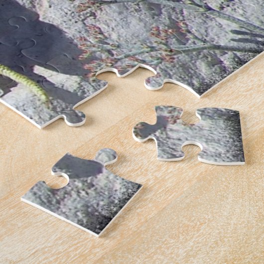 Western Collared Lizard auf Rock Foto Puzzle (Seite)