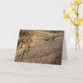 Western Collared Lizards in Colorado Karte (Gelbe Blume)