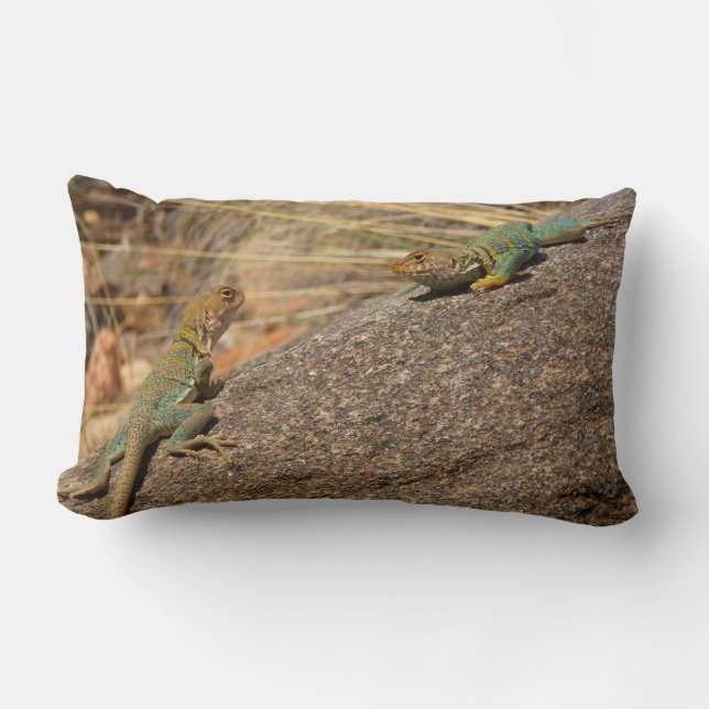 Western Collared Lizards in Colorado Lendenkissen (Vorderseite)