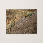 Western Collared Lizards in Colorado Puzzle (Horizontal)
