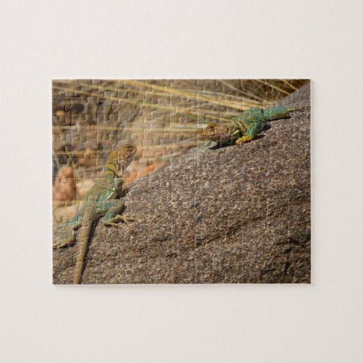 Western Collared Lizards in Colorado Puzzle (Horizontal)