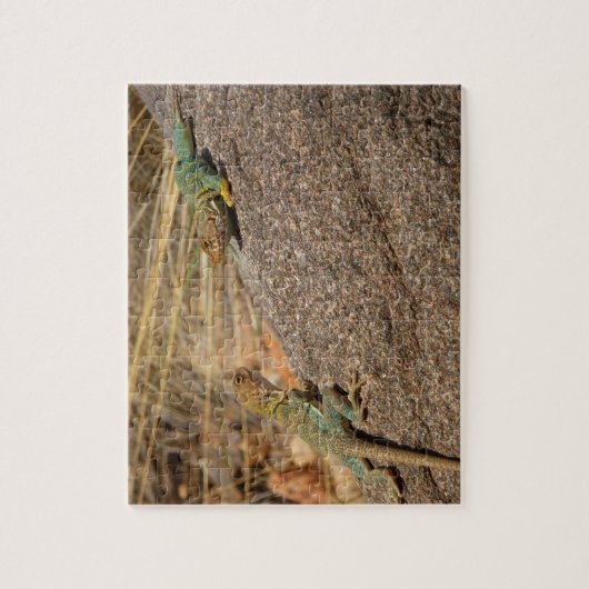 Western Collared Lizards in Colorado Puzzle (Vertikal)