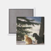 Western Colorado, USA Magnet (Vorderseite/Rückseite)