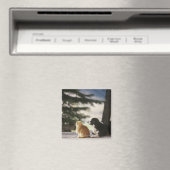 Western Colorado, USA Magnet (In Situ (Geschirrspüler))