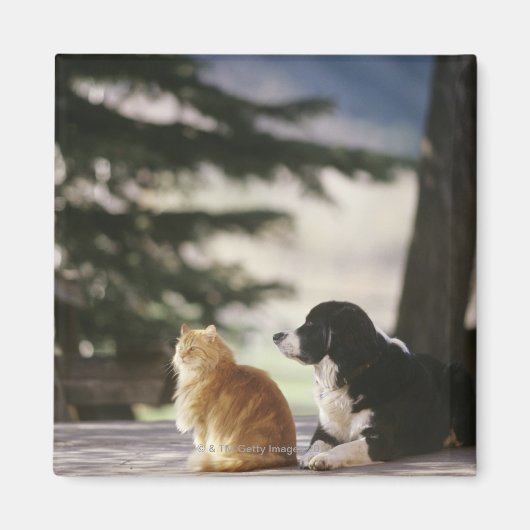 Western Colorado, USA Magnet (Vorne)