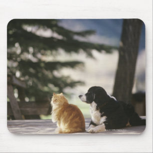 Western Colorado, USA Mousepad