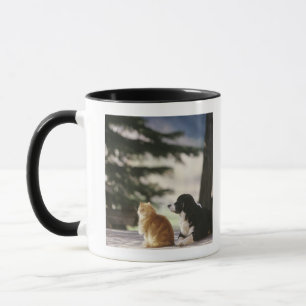 Western Colorado, USA Tasse
