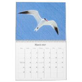 Western Colorado Wildvögel-Kalender Kalender (Mär 2027)