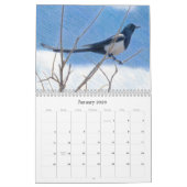 Western Colorado Wildvögel-Kalender Kalender (Jan 2026)