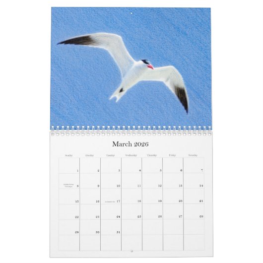 Western Colorado Wildvögel-Kalender Kalender (Mär 2026)