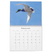 Western Colorado Wildvögel-Kalender Kalender (Feb 2026)