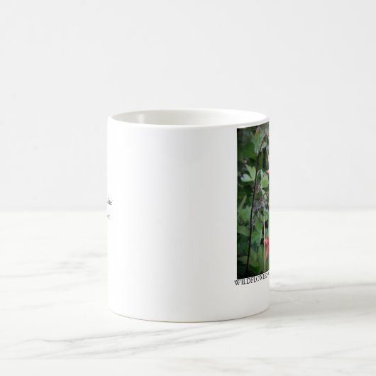 Western Columbine Kaffeetasse (Mittel)