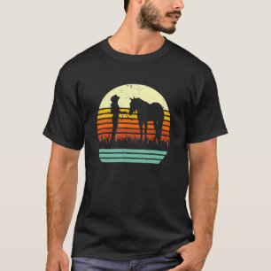 Western Cowgirl Halfter Pferd Retro Sonnenuntergan T-Shirt