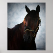 Western Dreamer Poster (Vorne)