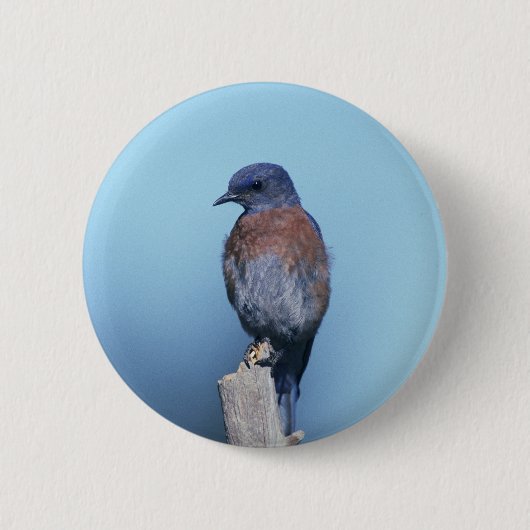 Western-Drossel Button (Vorderseite)