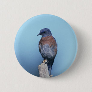 Western-Drossel Button