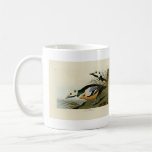 Western Duck von Audubon's Birds of America Kaffeetasse