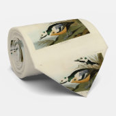 Western Duck von Audubon's Birds of America Krawatte (Gerollt)