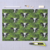 Western Farm Ranch Holstein Cala in Gras Seidenpapier (Handwerk)