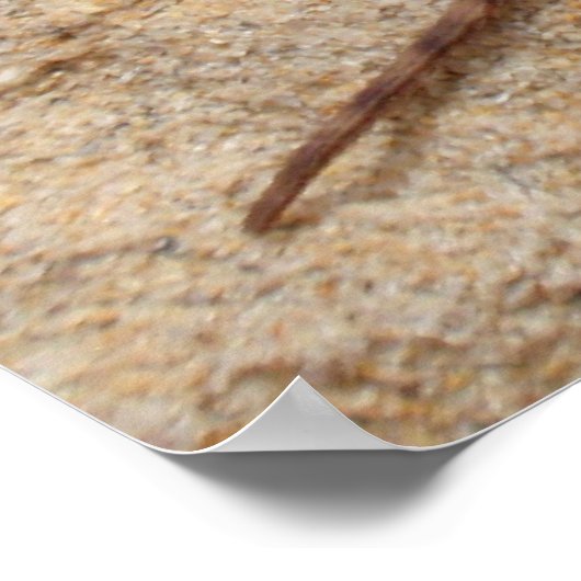 Western Fence Lizard Poster (Ecke)