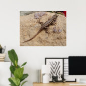 Western Fence Lizard Poster (Heimbüro)