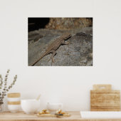 Western Fence Lizard Poster (Küche)