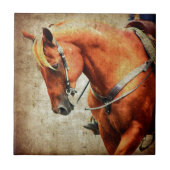 Western Fliese (Vorderseite)