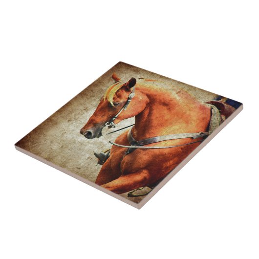 Western Fliese (Seite)