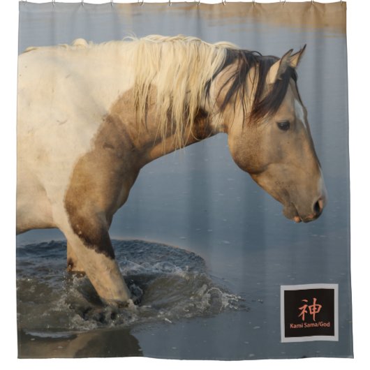 WESTERN FOTOGRAFIE SHOWER CURTAIN WILD PINTO DUSCHVORHANG (Vorderseite)