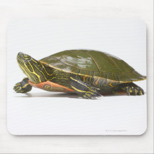 Western gemalte Schildkröte (Chrysemys picta Mousepad