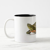 Western gemalte Schildkröte (Chrysemys picta Zweifarbige Tasse (Links)