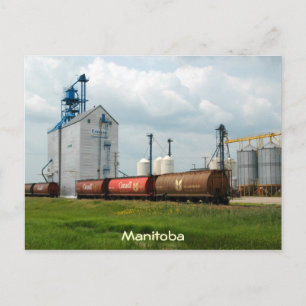 Western Grain Elevator Postkarte