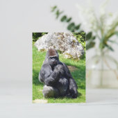 Western Gras Postkarte (Stehend Vorderseite)