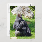 Western Gras Postkarte (Vorne/Hinten)