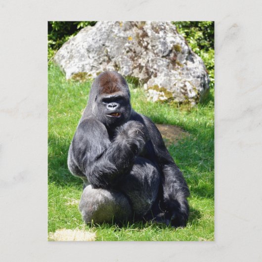 Western Gras Postkarte (Vorderseite)