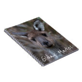 Western Gray Kangaroo Australien Notizblock (Rechte Seite)